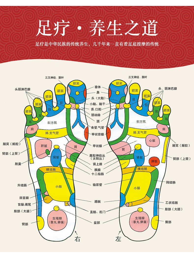 实木足底按摩器脚底穴位按摩器疏通经络缓解足部疲劳家用养生神器详情4