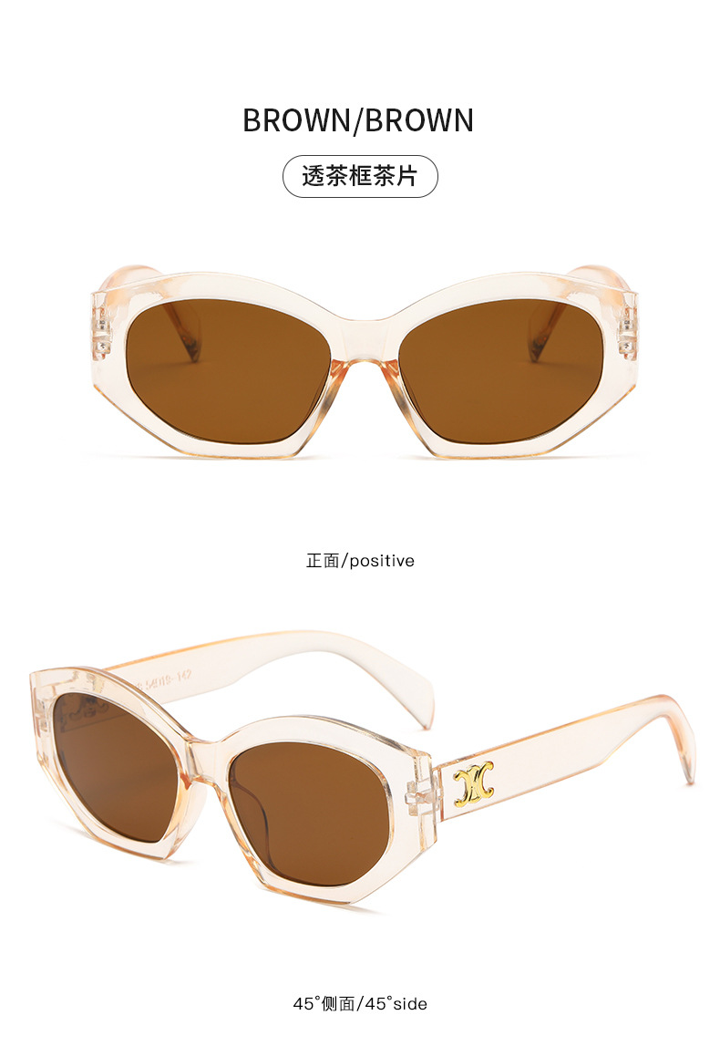 Retro triumph snow sunglasses for women, a new type of high-end oval angular sunglasses for sun protection and shading pic 32
