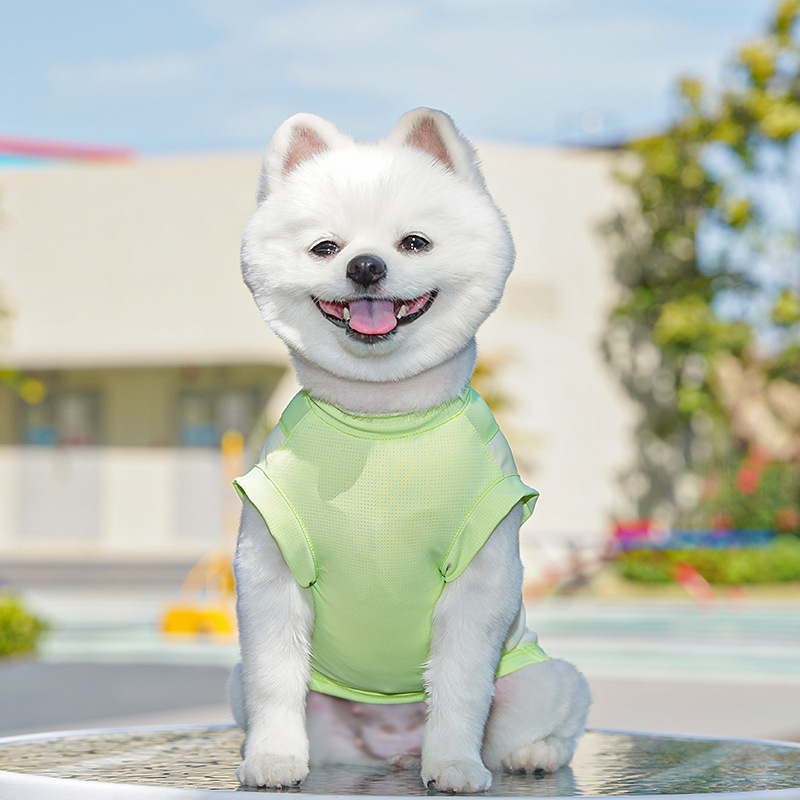 春夏季狗狗用品猫咪冰丝猫背心小中型犬外出防晒狗衣服宠物衣服详情29