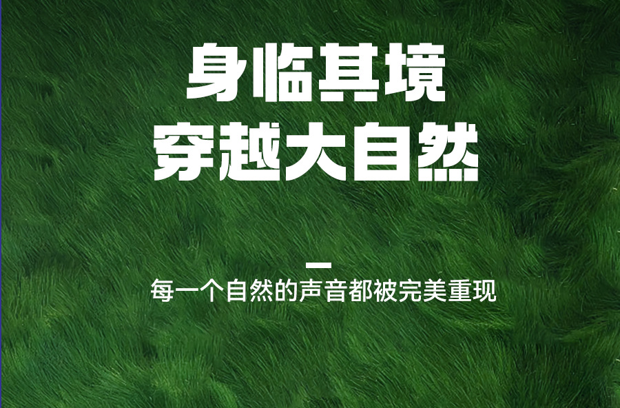 573蓝牙音响户外移动便携式手提炫彩氛围灯跨境爆款大功率低音炮详情13