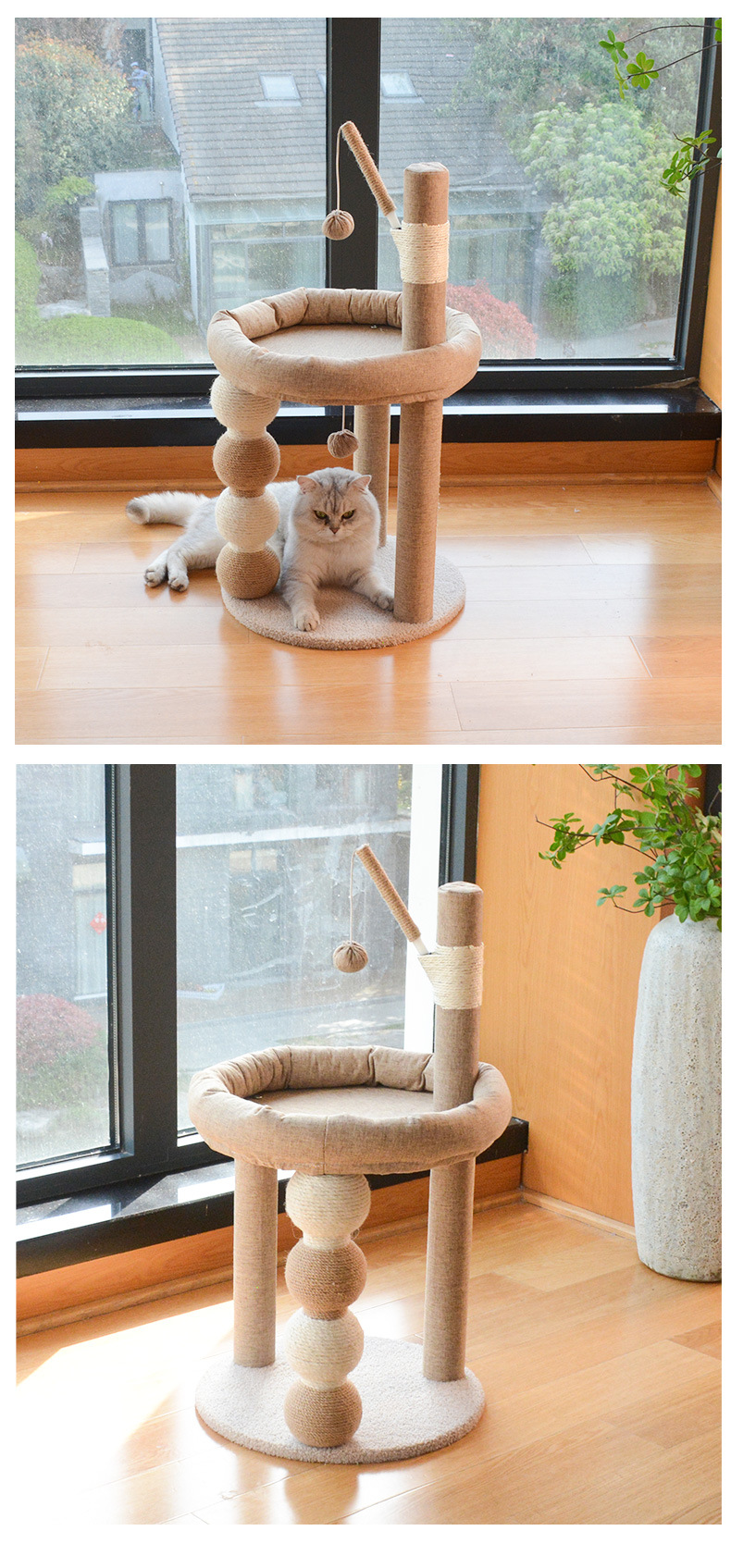 Кошачий питомник, лачуга кошачий питомник кошачий питомник кошачий питомник кошачий питомник pic 11