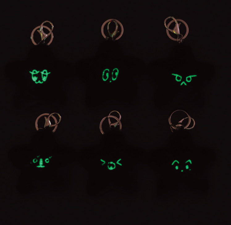 STARFISHDOLLKEYRING海星体挂件星星毛绒挂件NCT127男团钥匙扣详情2