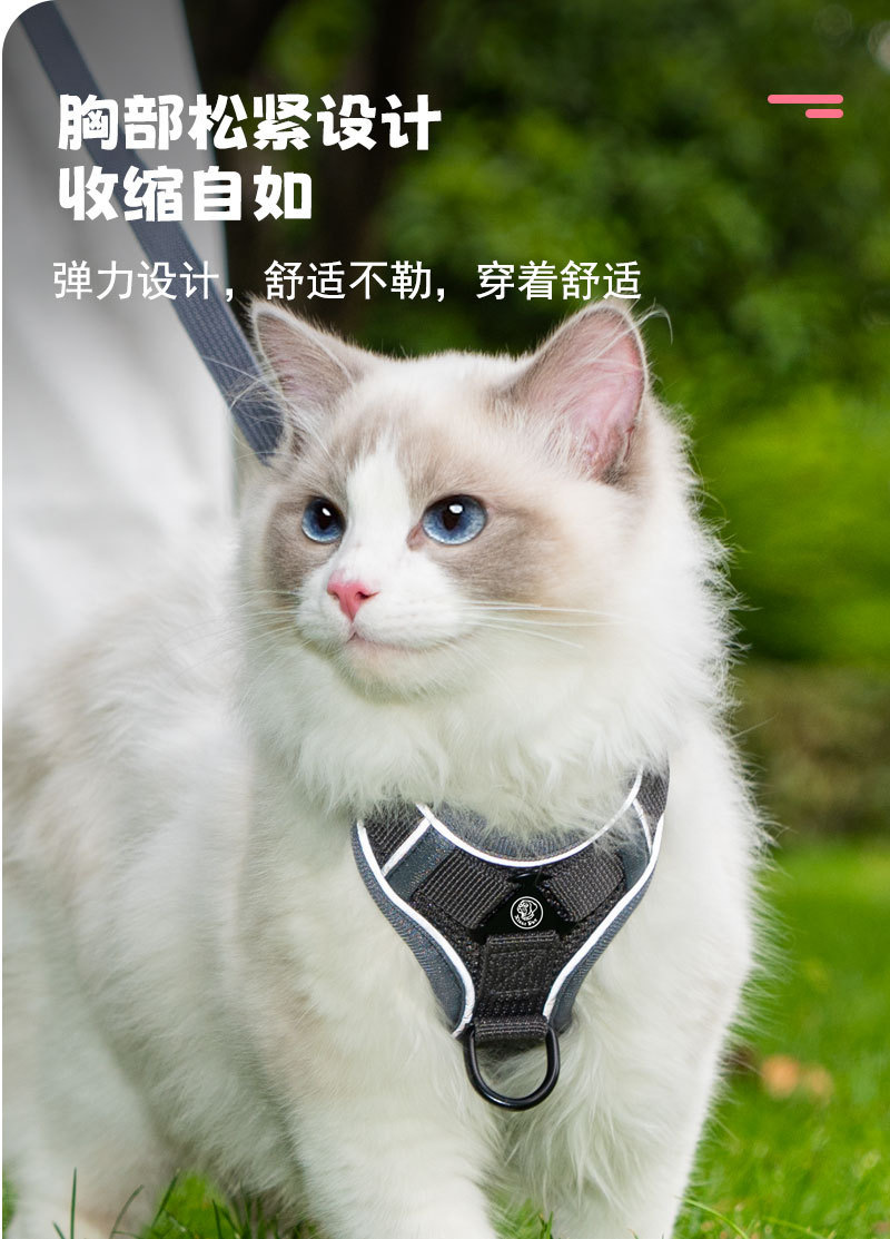 Cat leash vest pet chest and back strap cat walking rope chest and back anti-escape cat leash breathable anti-escape pic 3