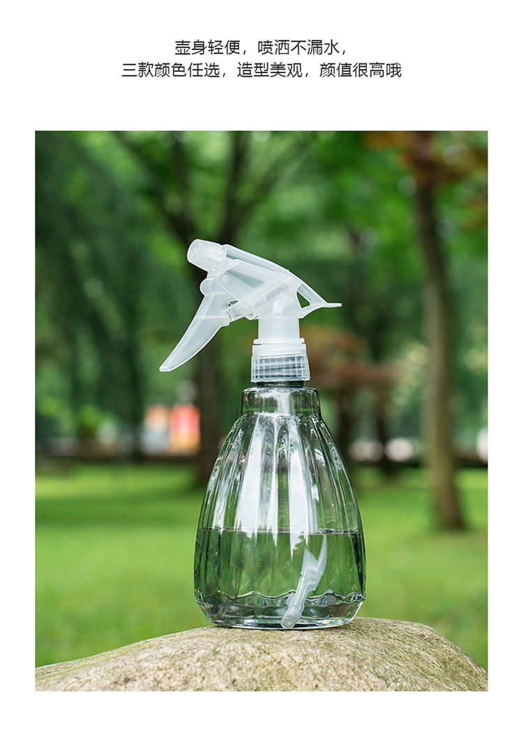 新款喷壶园艺花卉小喷壶浇花壶喷雾壶家用手压式喷水84消毒水喷瓶详情5