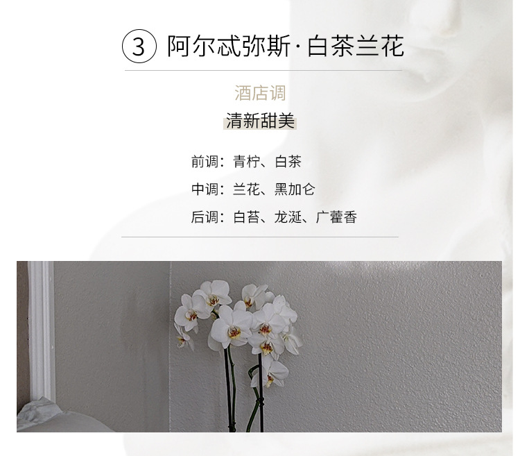 香薰蜡烛精油石膏香氛礼盒伴手礼卧室家用室内圣诞节礼物详情25