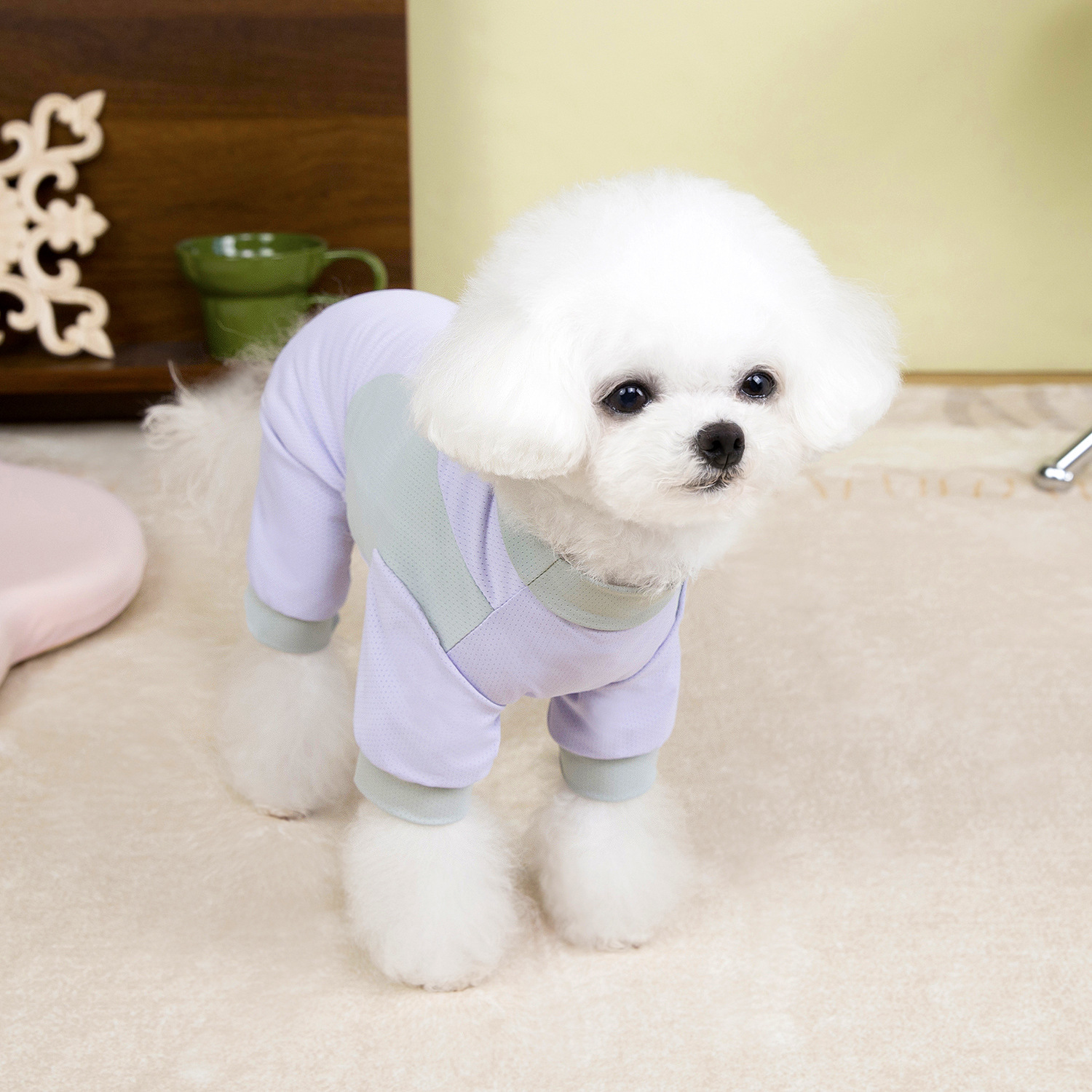 宠物服装三件套猫狗衣服冬季粉色紫色蓝色拼接带字母爪印宠物猫猫狗衣服套装详情7