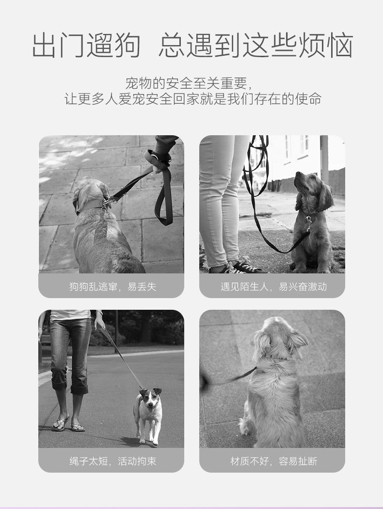 马卡龙色狗狗牵引绳中小型犬可调节项圈遛狗绳子宠物外出栓狗用品详情2