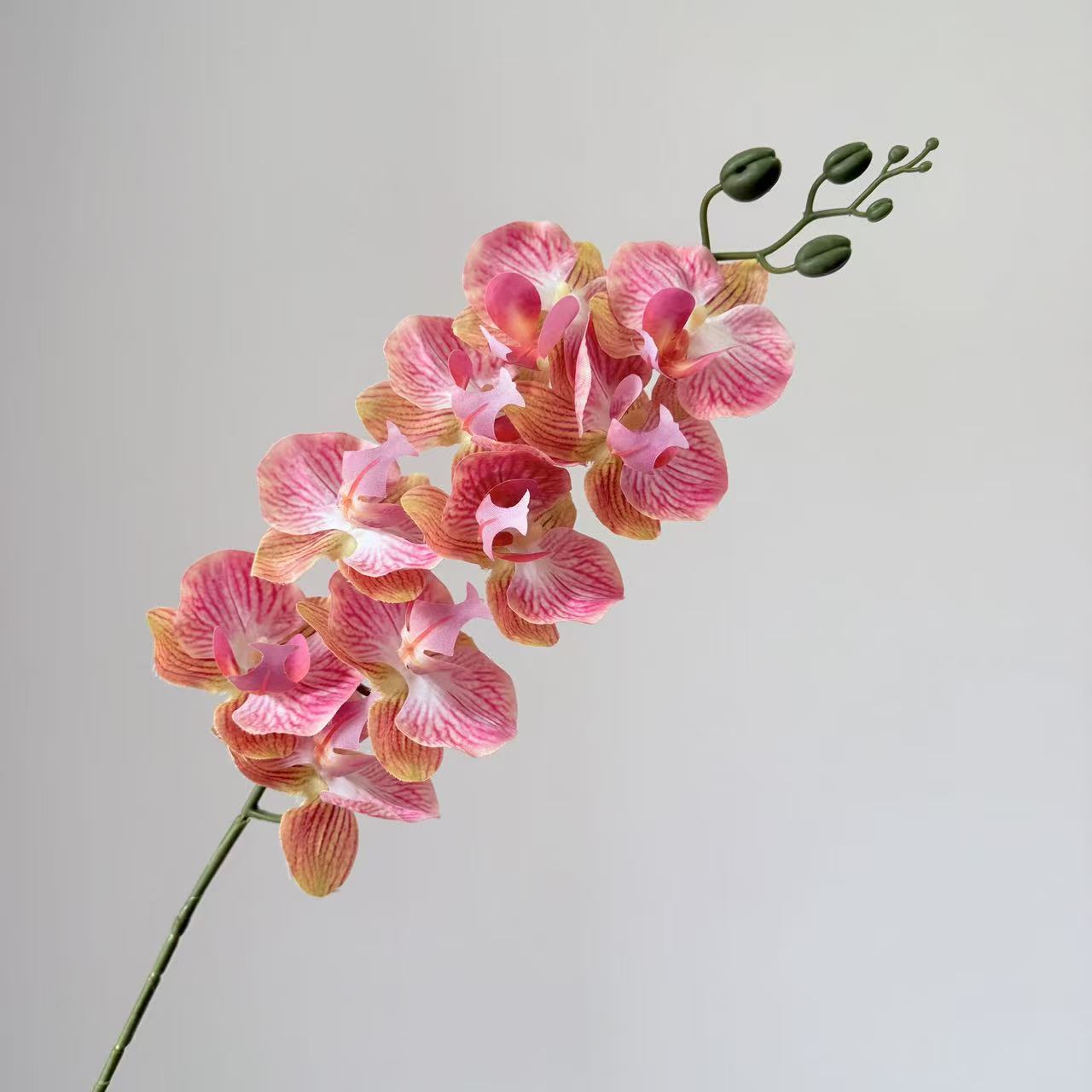 9头蝴蝶兰仿真花手感高级感逼真假花兰花艺场景布置酒店婚庆用花详情37