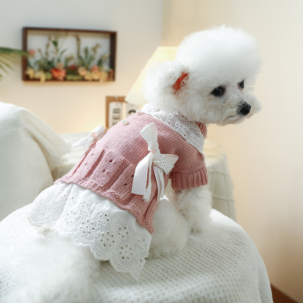 T Elegant princess cat and dog clothes, pet dog and cat warm and comfortable home clothes for autumn and winter, dog clothes, pet skirts pic 8