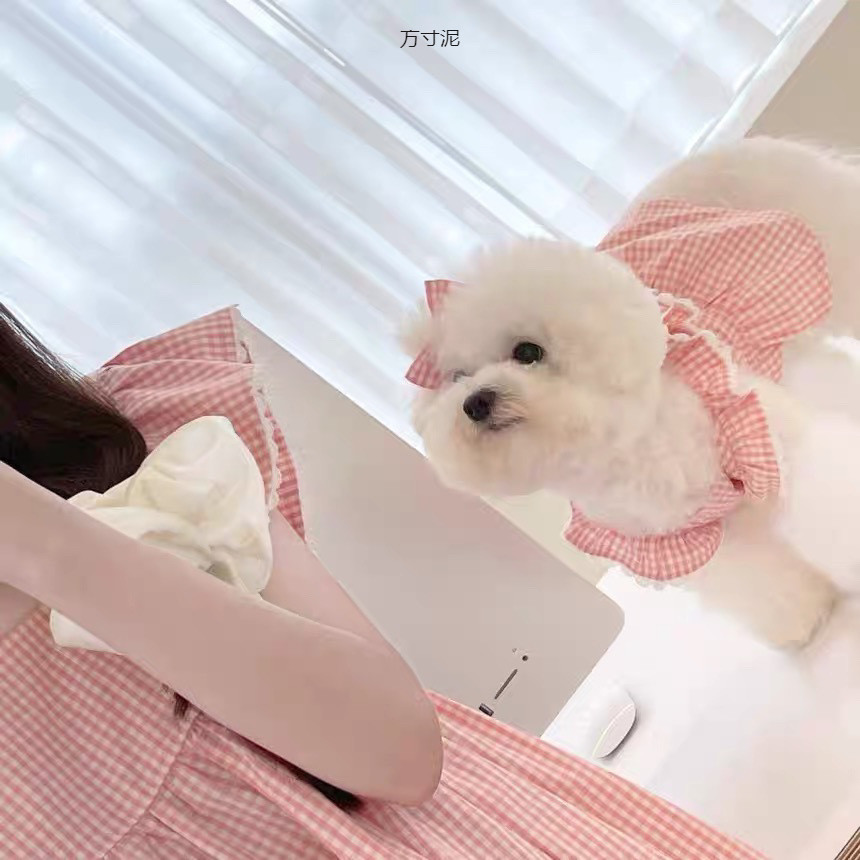 春夏可爱泡泡裙子泰迪比博美雪纳瑞狗猫咪宠物衣服外贸工厂供应链详情8