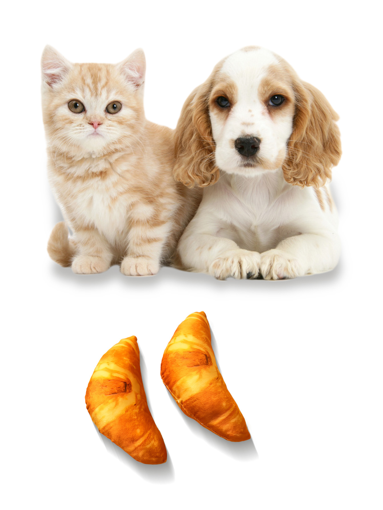 Cross-border cat and dog stress-relieving and vocalizing toys, pet teething and chewing toys, pet self-entertainment and boredom relief tools in stock pic 1