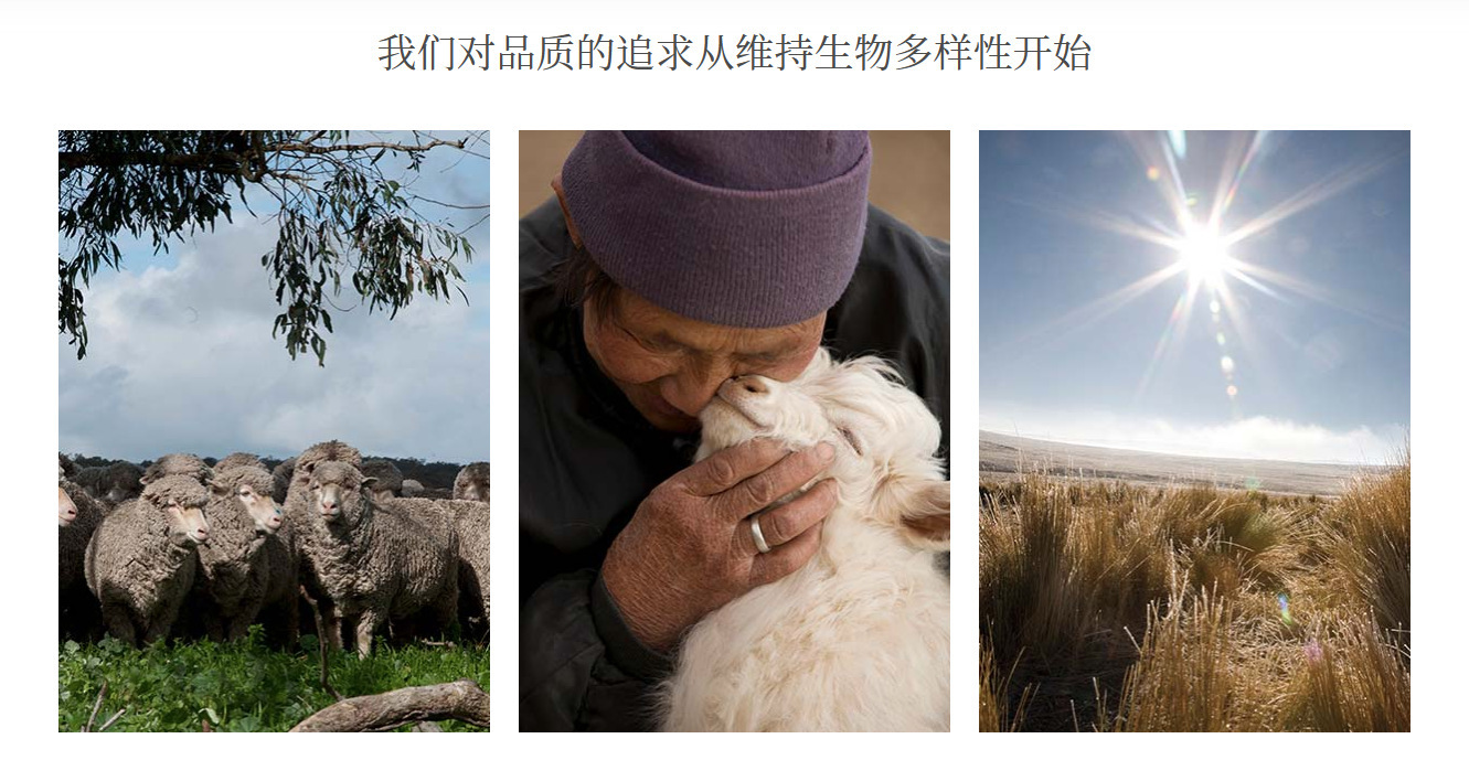 时光独白高知感纯澳羊毛假两件亨利领针织衫英伦风撞色设计上衣详情1