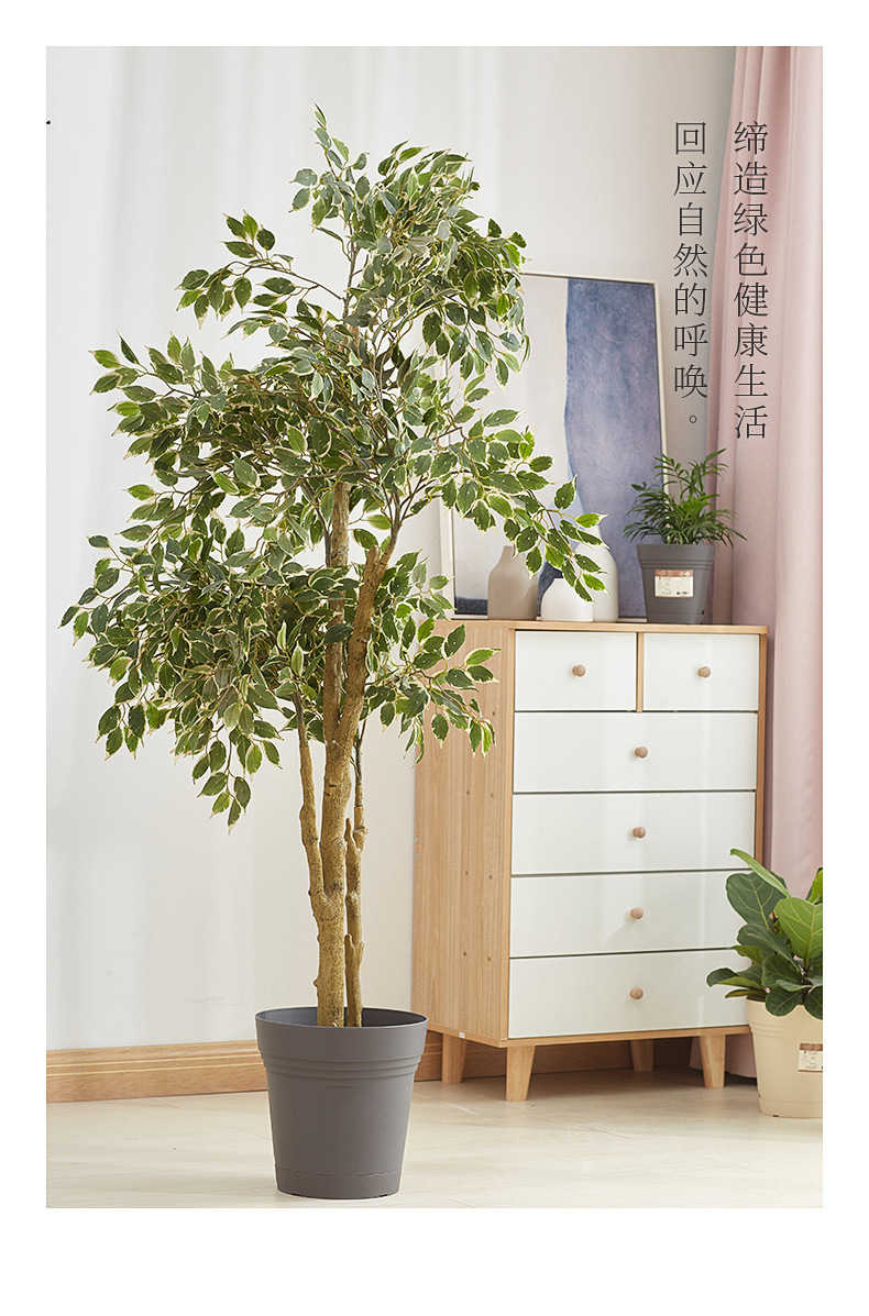 现代简约懒人花盆 自动吸水树脂塑料花盆办公室室内绿植多肉花盆详情10