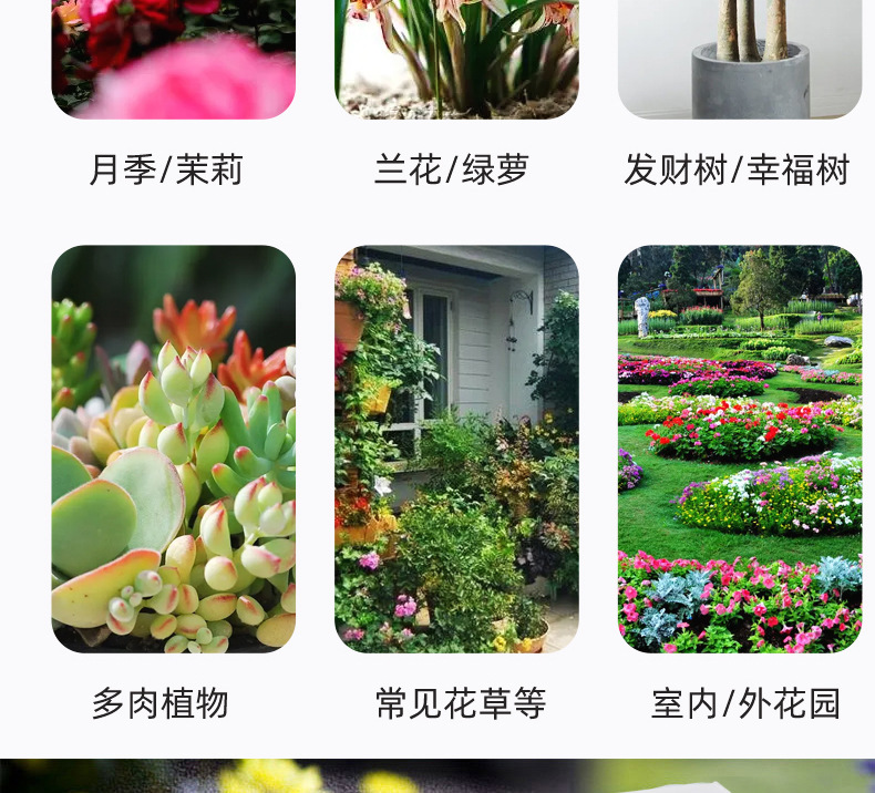 杀虫水乳剂批发绿植月季多肉花草除虫喷雾灭小飞虫药500ml杀虫剂详情9