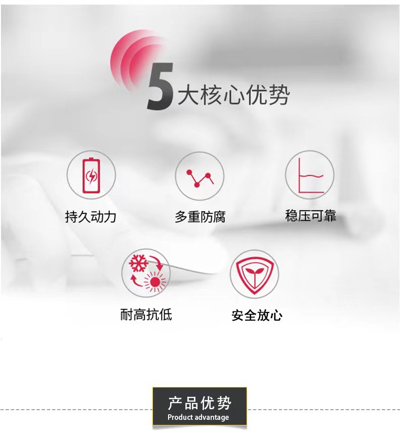 Silver Warrior VINNIC Pine and Cypress Iron Shell No. 1 Battery Simple Pack 2 Shrink R20 D Type No. 1 pic 3