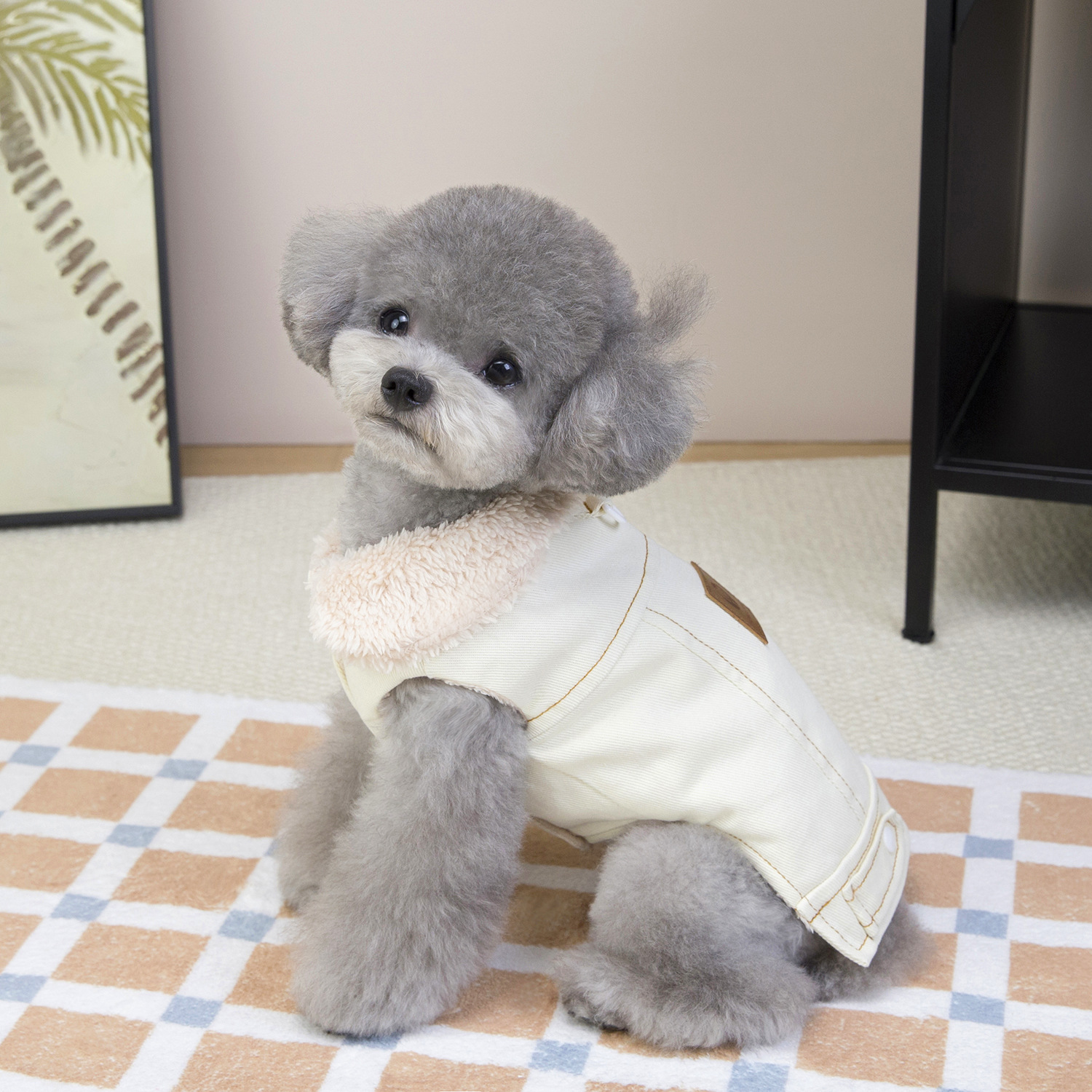 两只穿着外套的小狗宠物服装狗狗衣服宠物服饰新款可爱宠物狗狗衣服详情11