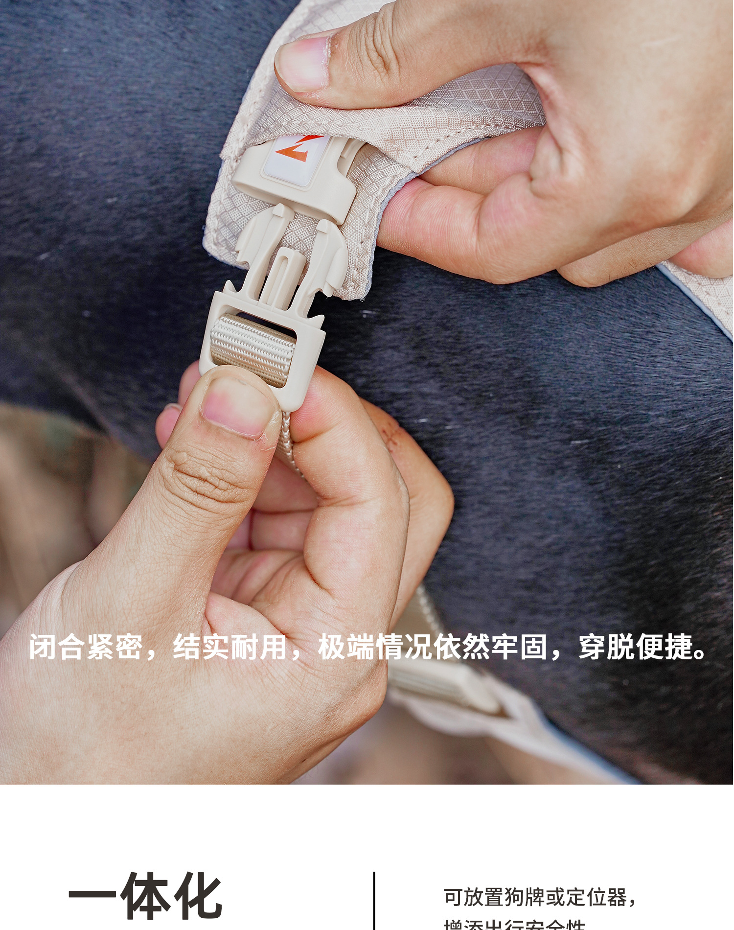 ZOOLAND狗狗胸背牵引绳遛幼小中大型犬泰迪柯基比熊边牧博美链子详情12