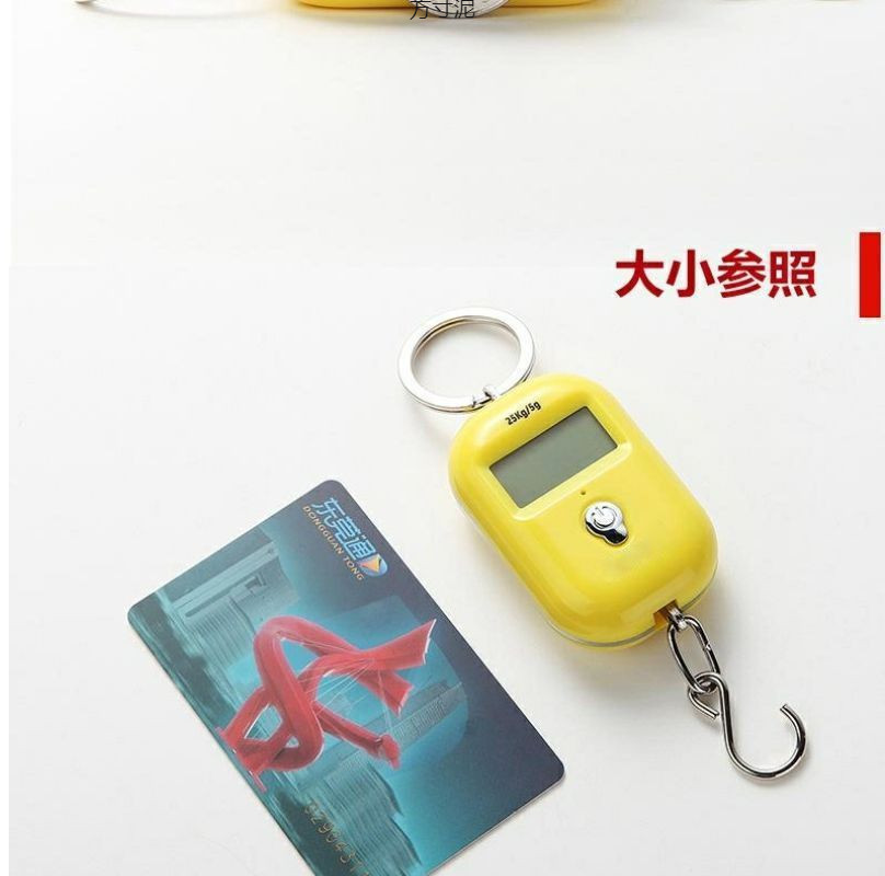 迷你手提称高精度电子秤便携小称买菜称随身带称重50斤厂一件批发详情10