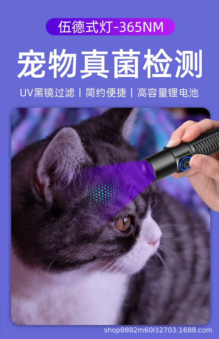 跨境新款UV365NM紫光手电筒紫外线鉴定灯烟酒玉石古玩钱币鉴定灯详情2