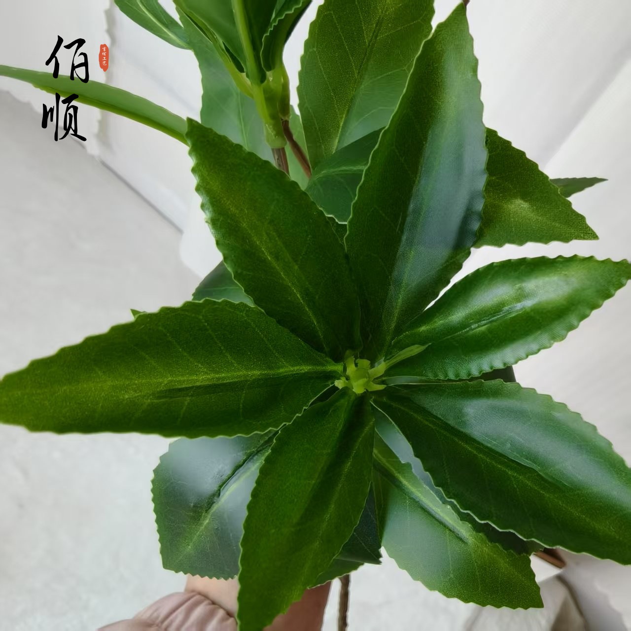 2025新款马醉木仿真绿植北欧风客厅办公桌面花艺盆栽宠物园艺水培生态瓶详情12