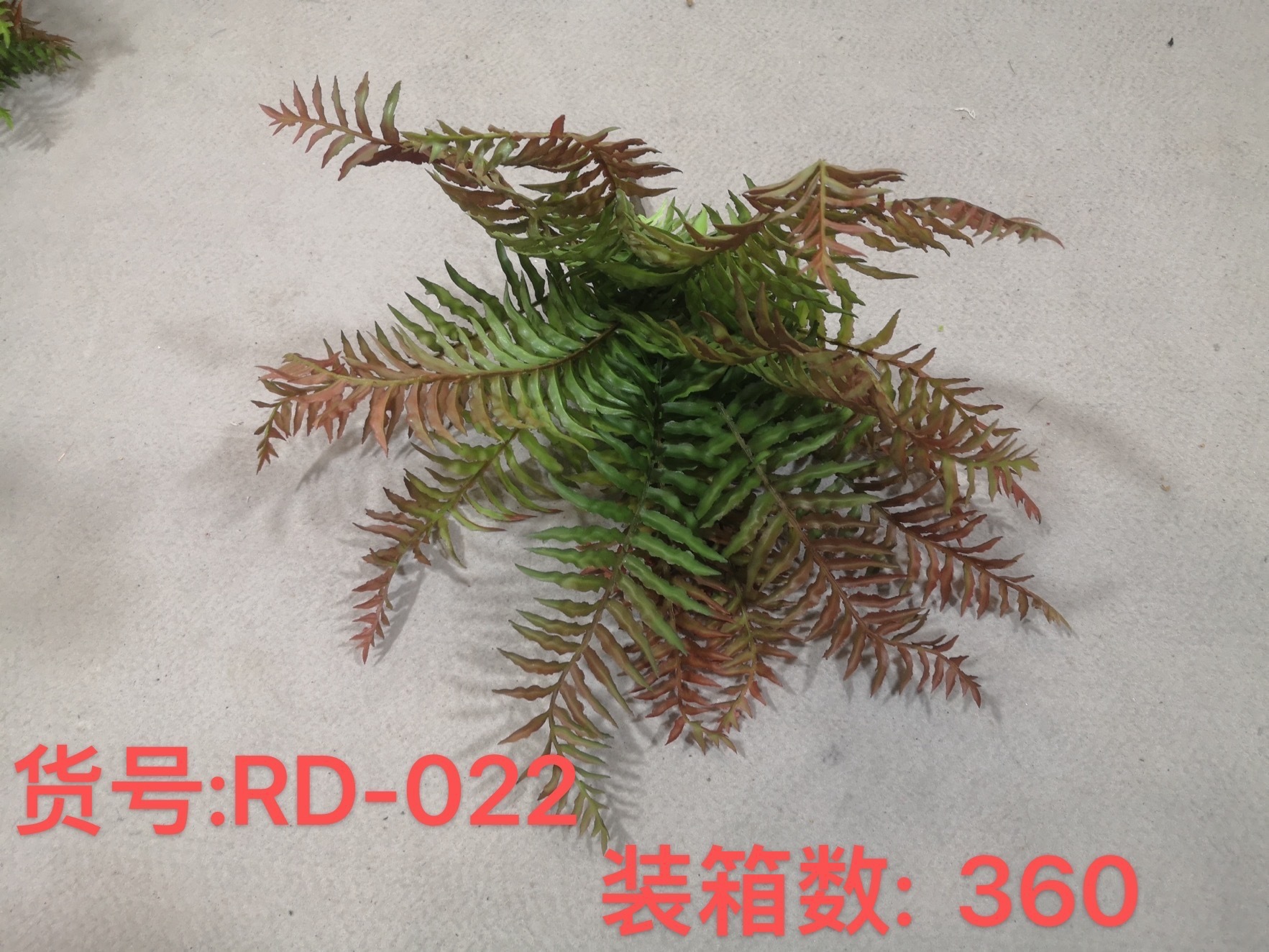No.13 秋色 加 密款.jpg