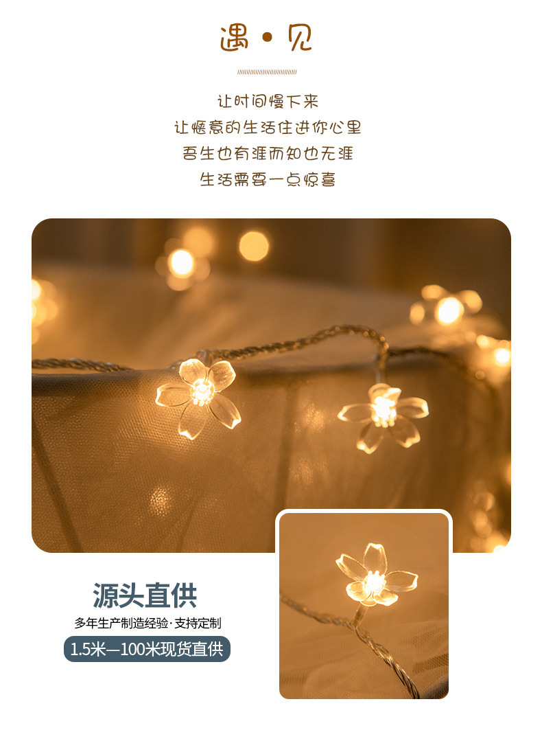 led lights, star lights, decorative atmosphere lights, Christmas copper wire lights, LED light strings, small lights, flower bouquets, camping bulb light strings pic 37