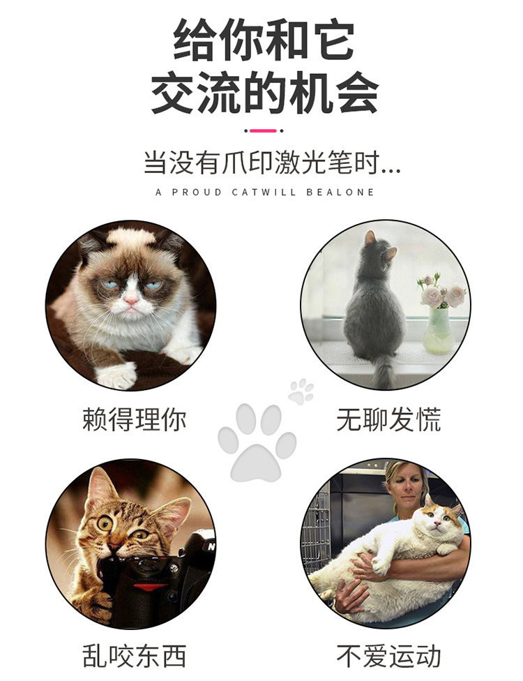 宠物用品猫猫玩具 激光逗猫手电筒紫光验钞尿斑电池逗猫笔 图案投影逗猫棒 猫咪互动娱乐设备详情15