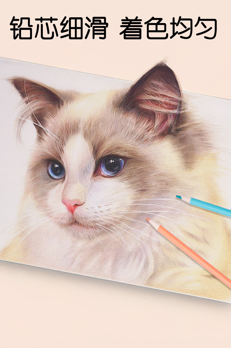 Weibo炜搏木质12色彩铅小兔子儿童美术绘图画画涂鸦高级填色批发详情6