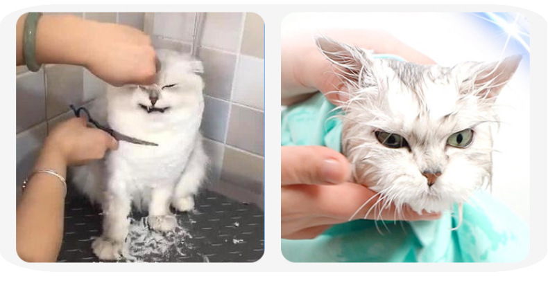 宠物太空头罩打针防咬伊丽莎白项圈术后防添猫头套狗项圈猫咪用品详情9