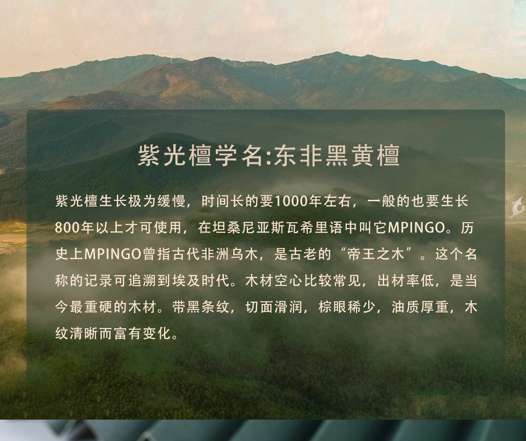 紫光檀戒尺古代老师用教鞭教棍实木中式加厚家规木板教育学生sp板详情8