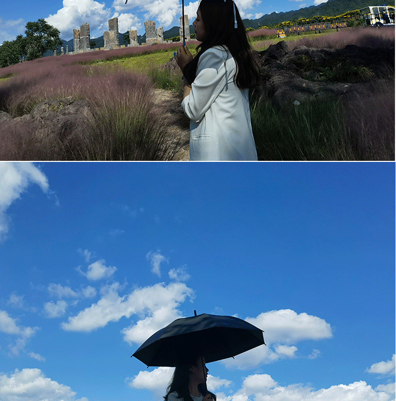 透明雨伞大量批发一次性塑料雨伞自动批发透明伞长柄高颜值晴雨伞详情7