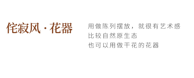 2025北欧风陶瓷花瓶家居仿真花干花水培花器餐厅装饰桌面摆件跨境热销详情7