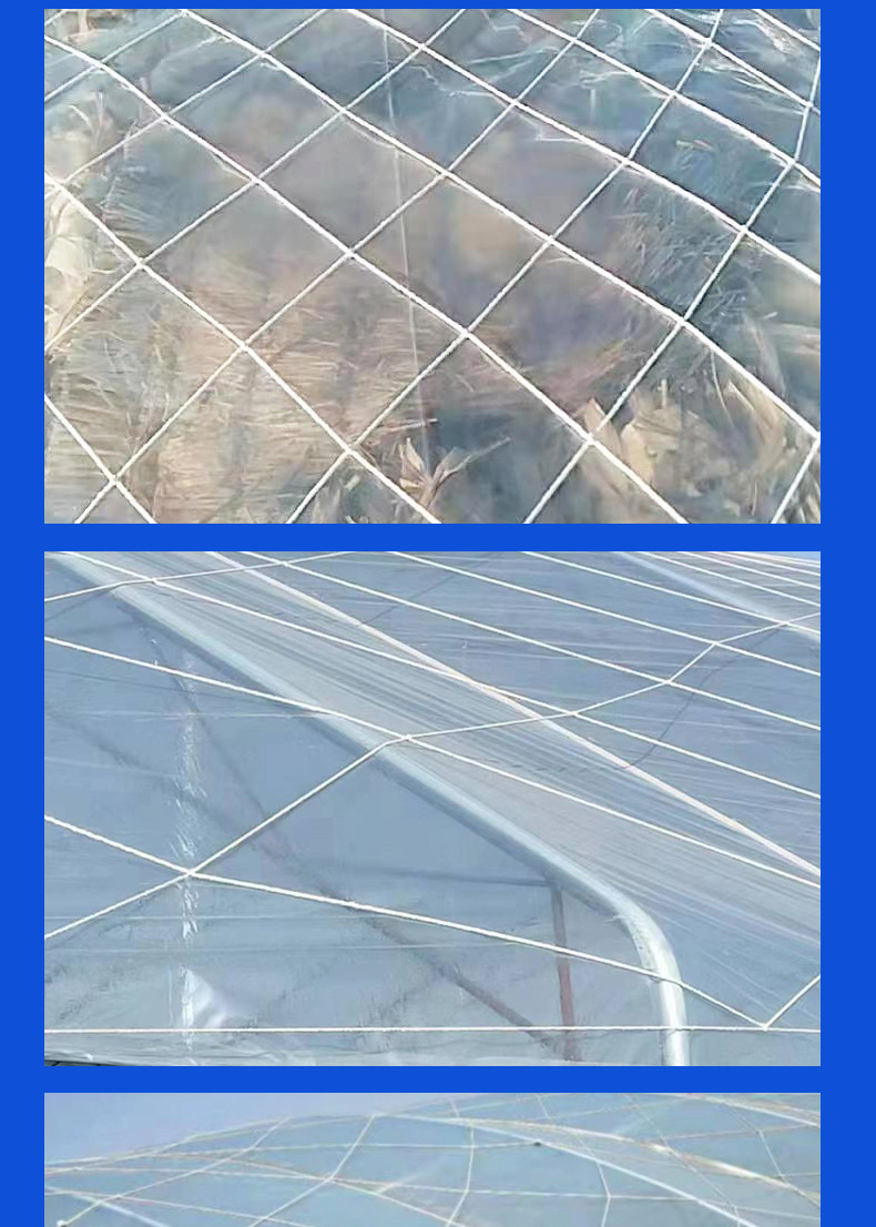 大棚防风网 种植养殖挡风尼龙大棚网大孔压膜防护网封车网 防风网详情8