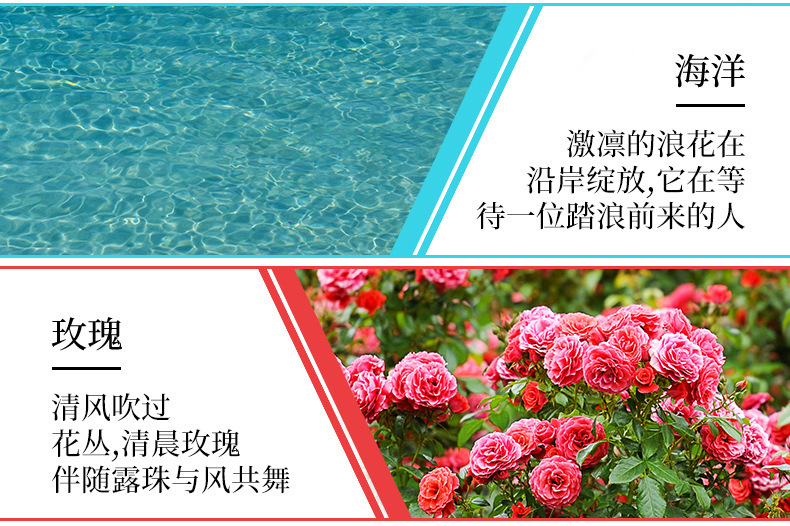 10ML oily humidifier aromatherapy essential oil aromatherapy linen rose source factory wholesale diffuser pic 4