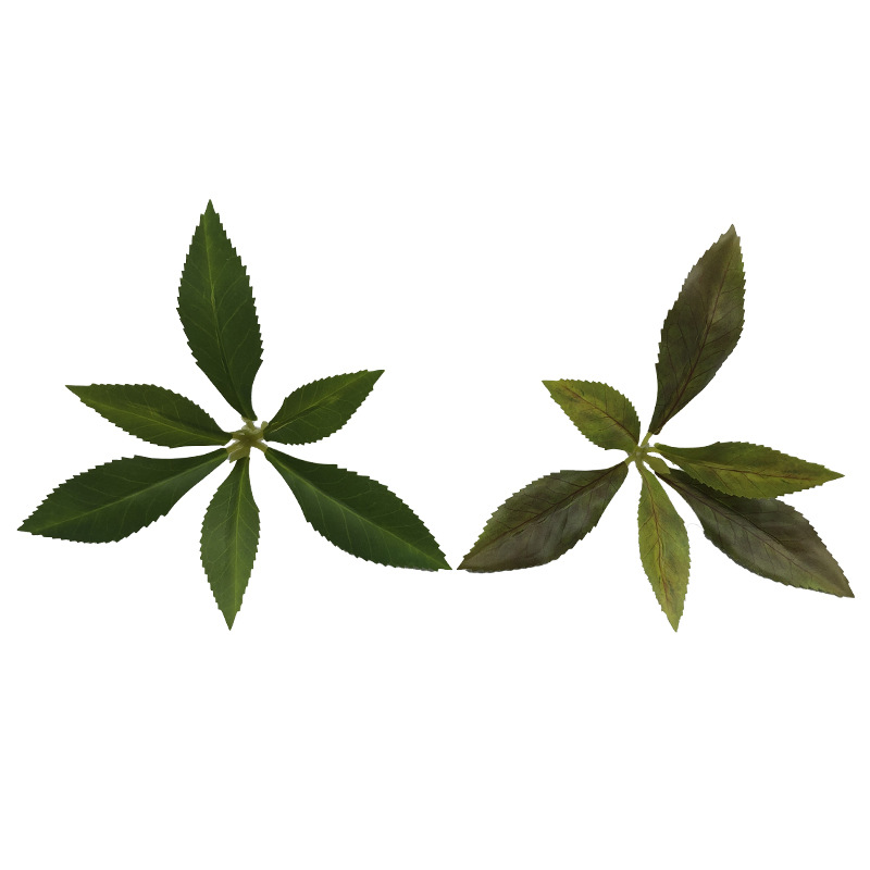 仿真植物马醉木绿植吊钟树叶工程园林造景家居装饰厂家批发马醉木详情5