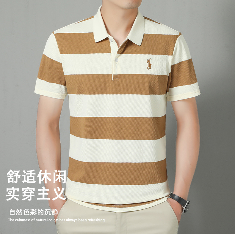 跨境条纹刺绣休闲polo衫男2025夏季新款商务翻领透气薄款男士t恤详情5