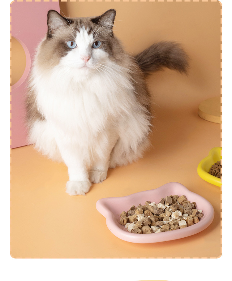 韩国陶瓷碗猫咪吃饭幼猫食盆罐头零食冻干餐盘矮脚猫碟盘子宠物碗详情4