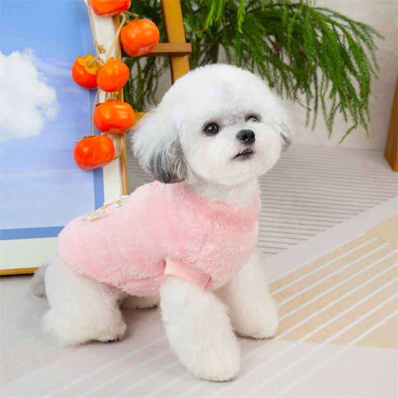 24秋冬新款狗狗可牵引国风绒衣泰迪比熊小型犬猫咪宠物衣服现货详情10