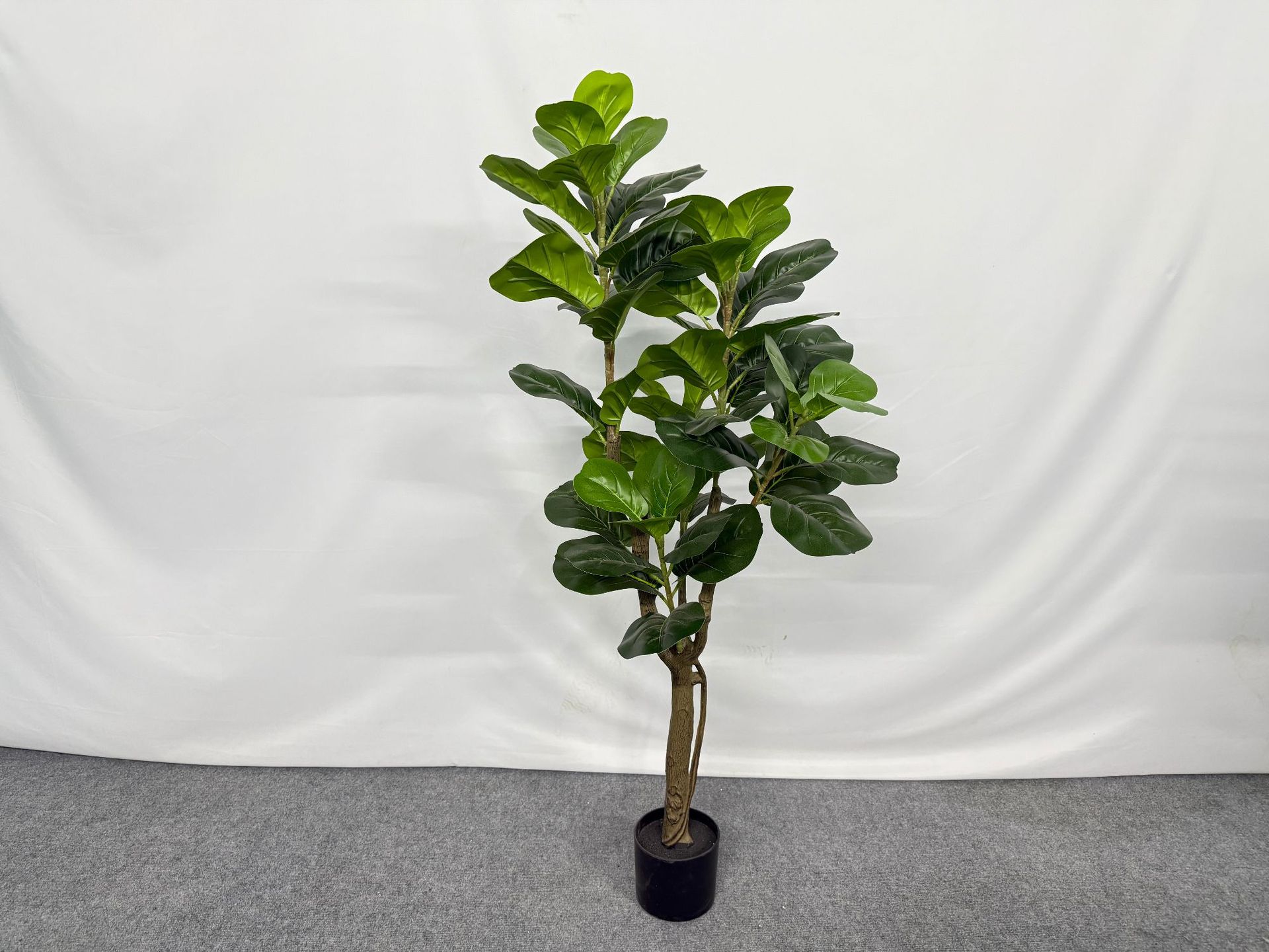 Simulated new style Ficus lyrata potted plant, large home floor-standing decorative item, green plant for homestay and shopping mall decoration, Ficus lyrata pic 3