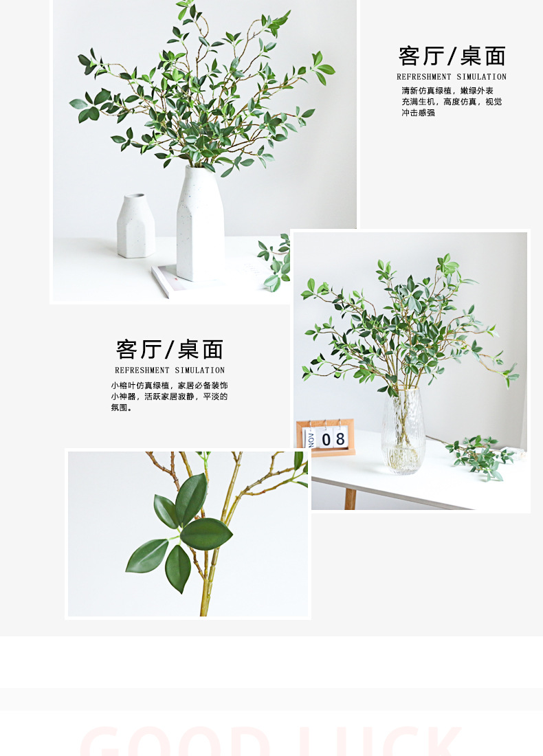 仿真绿植米兰叶榕树叶小清新家居茶几装饰人造假花办公园艺摆件榕叶绿植绿植装饰品详情14