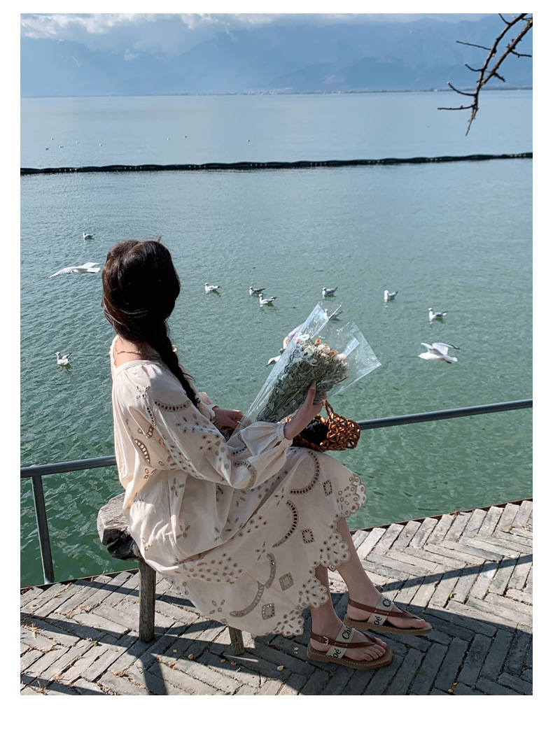 Real photo of a retro, gentle, cut-out embroidered V-neck apricot-colored dress, 2025 new seaside vacation style long-sleeved umbrella dress pic 24