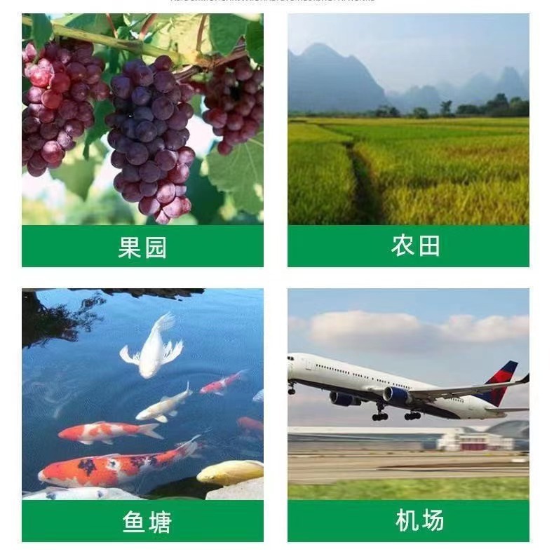 微信图片_20240729131641