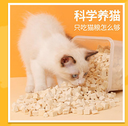 猫咪玩具引力智能滚滚球电动逗猫球猫薄荷发声磨牙耐咬自嗨解闷球详情7