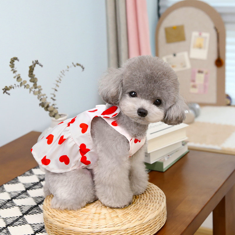 Spring and summer painted drawstring dress set, pet dog teddy Bichon Frise small dog vest style chest and back dog clothing pic 8