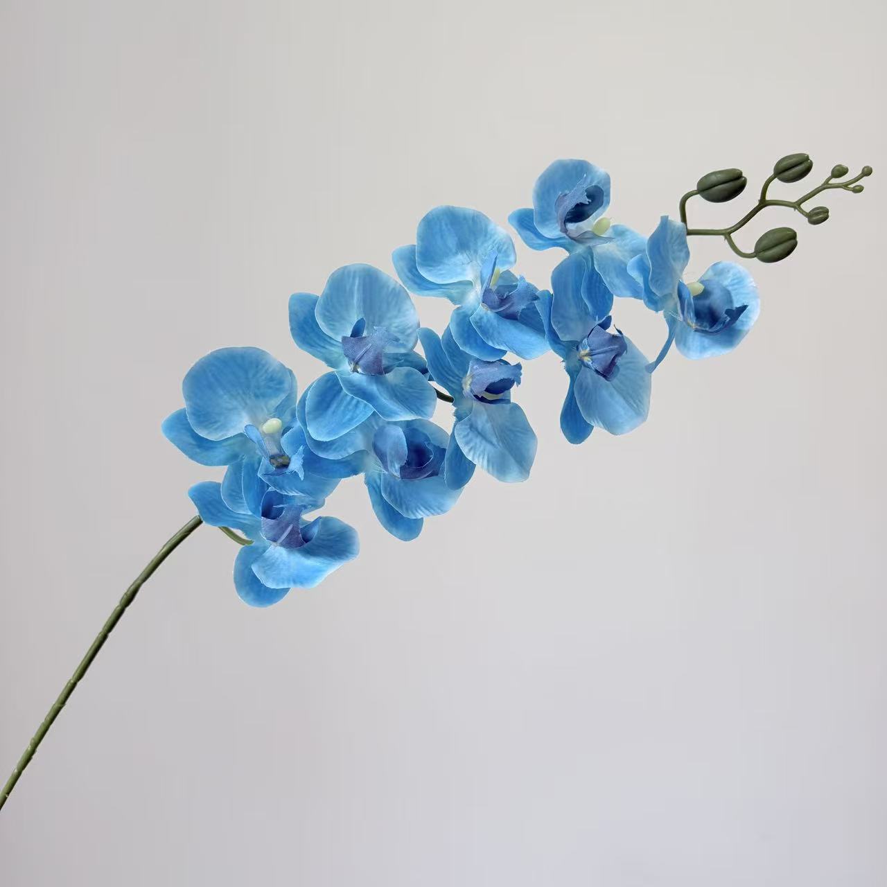 9头蝴蝶兰仿真花手感高级感逼真假花兰花艺场景布置酒店婚庆用花详情26