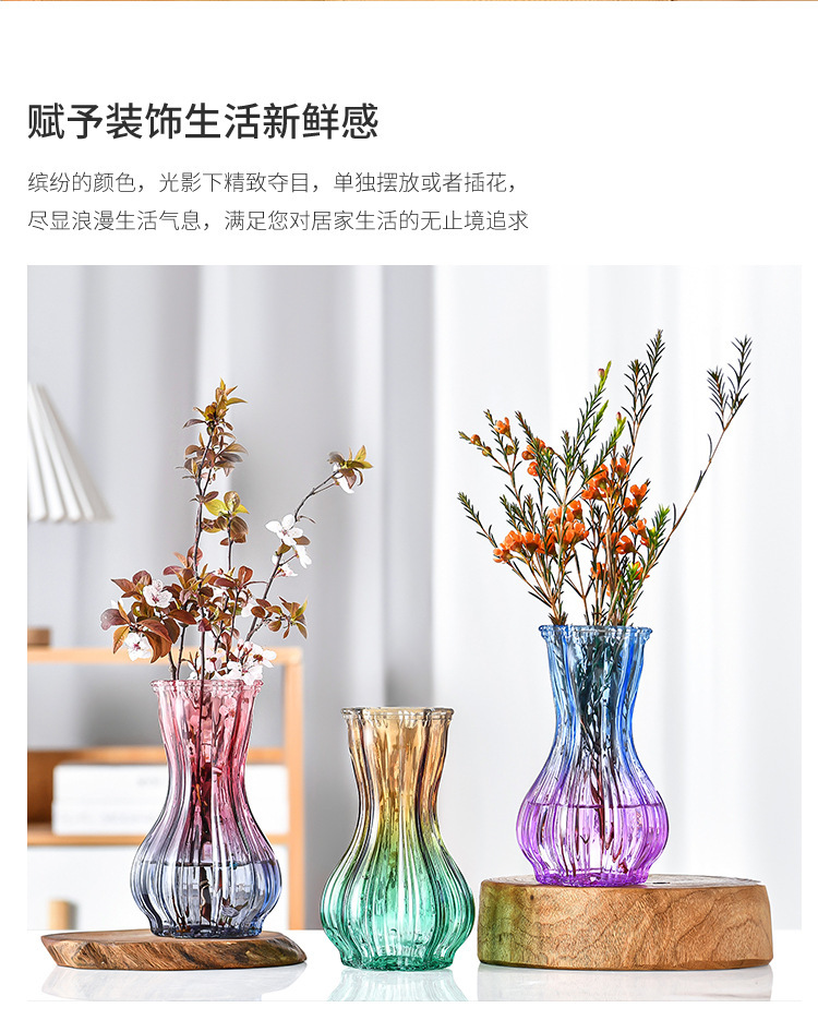 Nordic garlic-patterned glass vase with a transparent tabletop for living room decoration, ins style, high appearance level, dried fresh flower vase pic 8