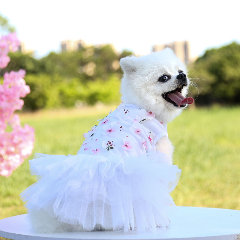 Pet dog, cat, Teddy, bichon Frise, peach blossom skirt, clothes, dog clothing, pet supplies manufacturer wholesale fashionable, comfortable and cute pet skirts pic 15