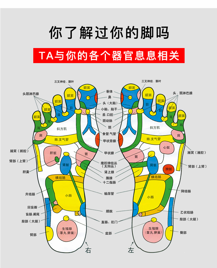 足疗足底穴位按摩器足部按摩仪菱角滚轮式脚底按摩轮按摩神器理疗详情5