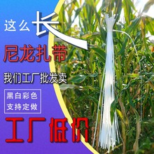 彩色尼龙扎带大量批发塑料吊牌扎线带3*4*5*便捷包装带塑料捆绑带详情27