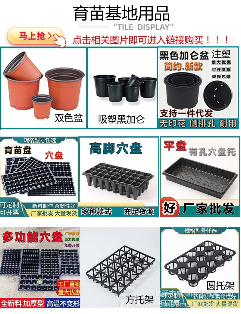 圆形花盆平边托盘塑料底托 多规格塑料接水盘底托多肉花盆托底盘详情17